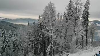 Буковель 28 грудня 2021 року, 2021-12-28 16:00