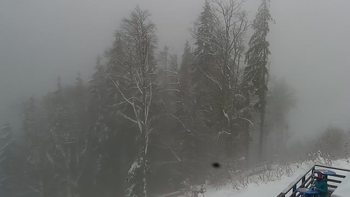 Буковель 31 грудня 2021 року, 2021-12-31 13:00