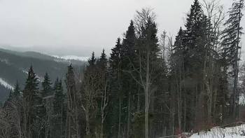 Буковель 4 січня 2022 року, 2022-01-04 10:00