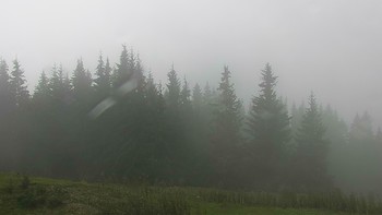 Буковель 15 вересня 2017 року, 2017-09-15 10:00