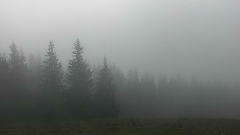 Буковель 25 жовтня 2017 року, 2017-10-25 13:00