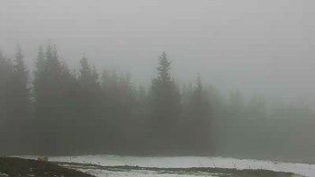 Буковель 18 листопада 2017 року, 2017-11-18 10:00