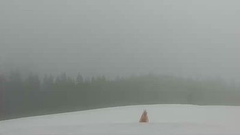 Буковель 6 квітня 2018 року, 2018-04-06 16:00