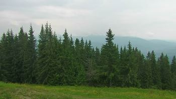 Буковель 7 червня 2018 року, 2018-06-07 13:00