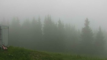 Буковель 14 червня 2018 року, 2018-06-14 16:00