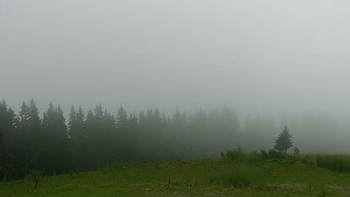 Буковель 16 липня 2018 року, 2018-07-16 10:00