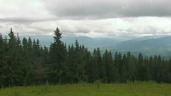 Буковель 17 липня 2018 року, 2018-07-17 16:00