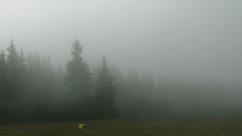 Буковель 22 жовтня 2018 року, 2018-10-22 10:00