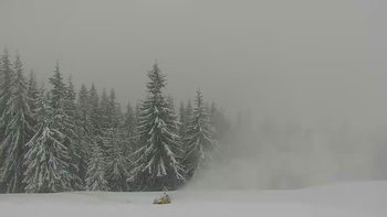 Буковель 28 листопада 2018 року, 2018-11-28 10:00