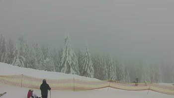 Буковель 13 січня 2019 року, 2019-01-13 10:00