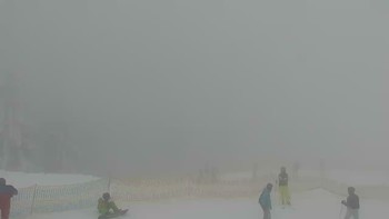 Буковель 29 січня 2019 року, 2019-01-29 16:00
