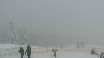 Буковель 31 січня 2019 року, 2019-01-31 13:00