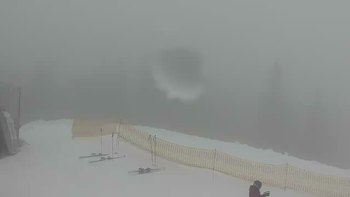 Буковель 11 лютого 2019 року, 2019-02-11 13:00