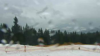 Буковель 8 березня 2019 року, 2019-03-08 13:00