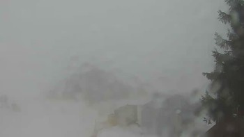 Буковель 17 березня 2019 року, 2019-03-17 10:00