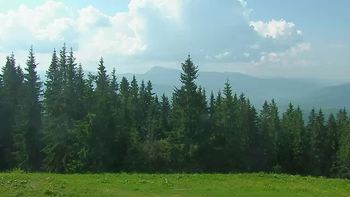 Буковель 12 червня 2019 року, 2019-06-12 10:00