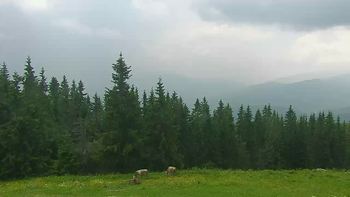 Буковель 17 червня 2019 року, 2019-06-17 13:00