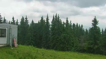 Буковель 27 червня 2019 року, 2019-06-27 13:00