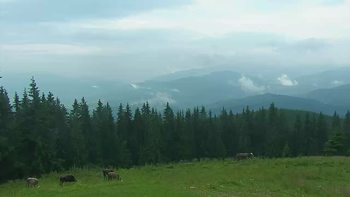 Буковель 7 липня 2019 року, 2019-07-07 13:00