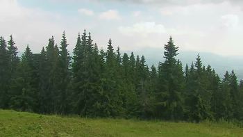 Буковель 21 липня 2019 року, 2019-07-21 16:00