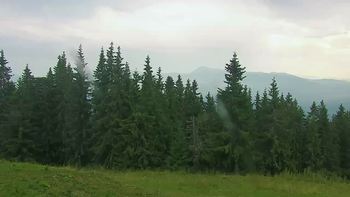 Буковель 28 липня 2019 року, 2019-07-28 16:00