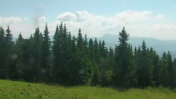 Буковель 29 липня 2019 року, 2019-07-29 13:00