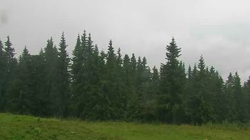 Буковель 1 серпня 2019 року, 2019-08-01 16:00
