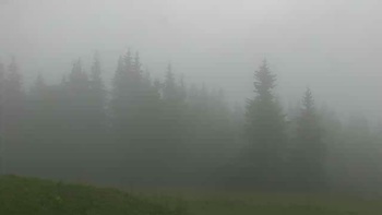 Буковель 3 серпня 2019 року, 2019-08-03 13:00