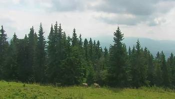 Буковель 7 серпня 2019 року, 2019-08-07 13:00
