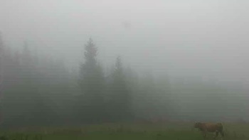 Буковель 4 вересня 2019 року, 2019-09-04 10:00