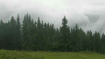 Буковель 4 вересня 2019 року, 2019-09-04 13:00