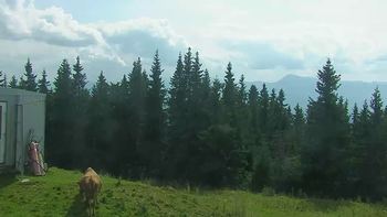 Буковель 7 вересня 2019 року, 2019-09-07 13:00