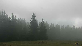 Буковель 21 листопада 2019 року, 2019-11-21 13:00