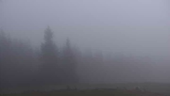 Буковель 21 листопада 2019 року, 2019-11-21 16:00