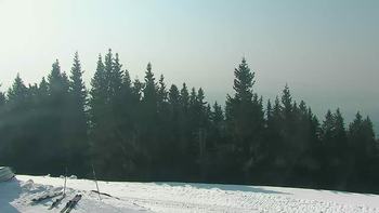 Буковель 29 березня 2020 року, 2020-03-29 10:00