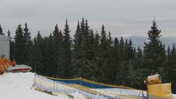 Буковель 8 грудня 2020 року, 2020-12-08 10:00