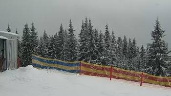 Буковель 14 січня 2021 року, 2021-01-14 13:00