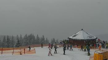 Буковель 19 січня 2021 року, 2021-01-19 13:00