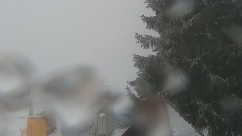 Буковель 24 січня 2021 року, 2021-01-24 16:00