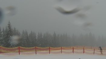 Буковель 25 січня 2021 року, 2021-01-25 13:00