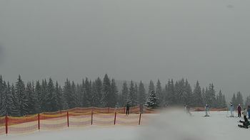 Буковель 25 січня 2021 року, 2021-01-25 16:00