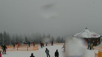 Буковель 30 січня 2021 року, 2021-01-30 10:00