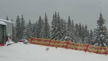 Буковель 14 лютого 2021 року, 2021-02-14 13:00