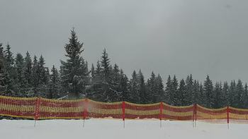Буковель 10 березня 2021 року, 2021-03-10 13:00
