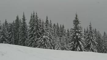 Буковель 16 березня 2021 року, 2021-03-16 10:00