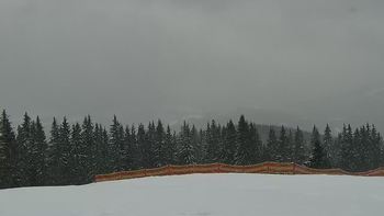 Буковель 23 березня 2021 року, 2021-03-23 13:00