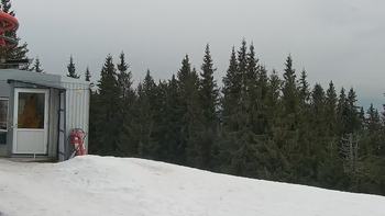 Буковель 3 квітня 2021 року, 2021-04-03 16:00