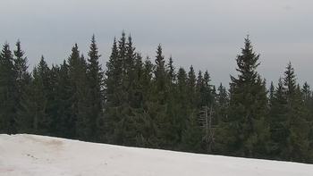 Буковель 13 квітня 2021 року, 2021-04-13 16:00