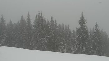 Буковель 14 квітня 2021 року, 2021-04-14 13:00