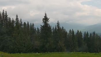 Буковель 15 червня 2021 року, 2021-06-15 16:00